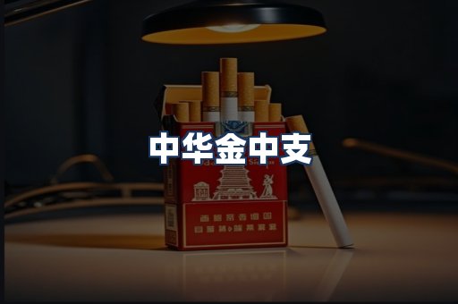 中华金中支